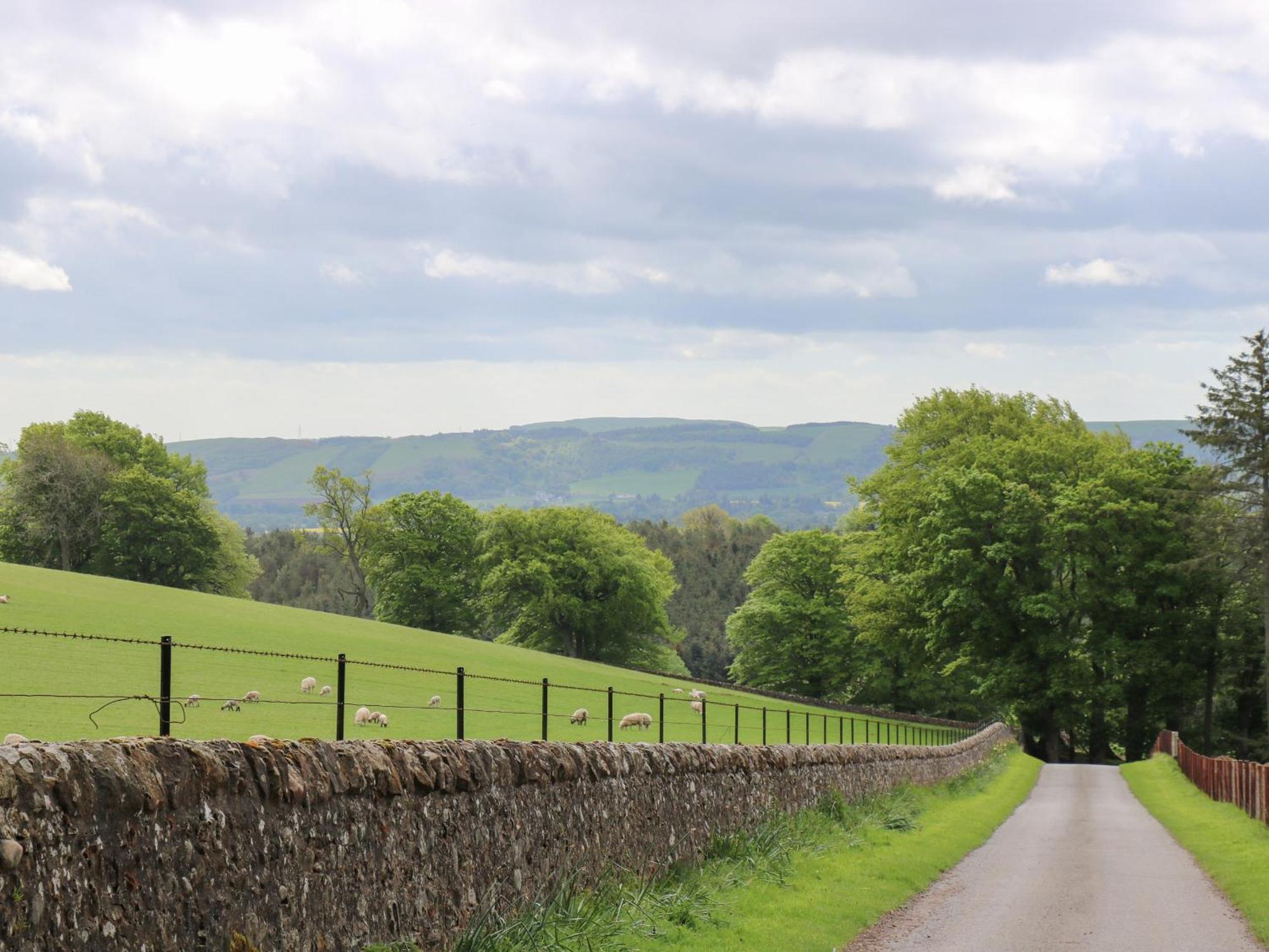North Lodge Forfar Bagian luar foto